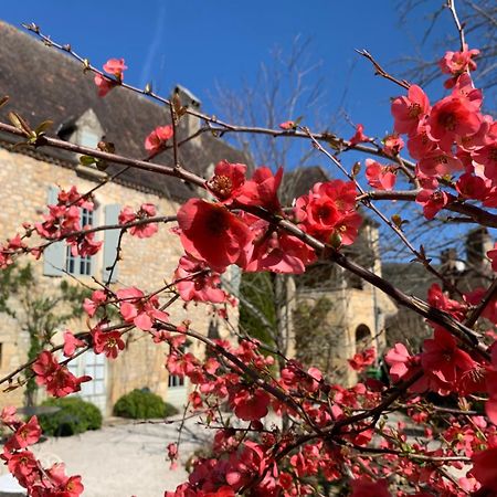 La Tour De Cause Bed & Breakfast Castelnaud La Chapelle Exterior photo