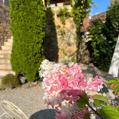 La Tour De Cause Bed & Breakfast Castelnaud La Chapelle Exterior photo