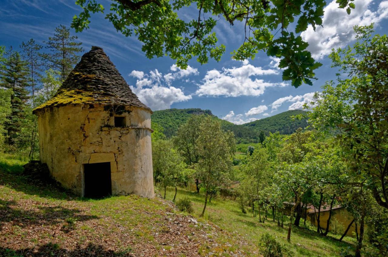 La Tour De Cause Bed & Breakfast Castelnaud La Chapelle Exterior photo