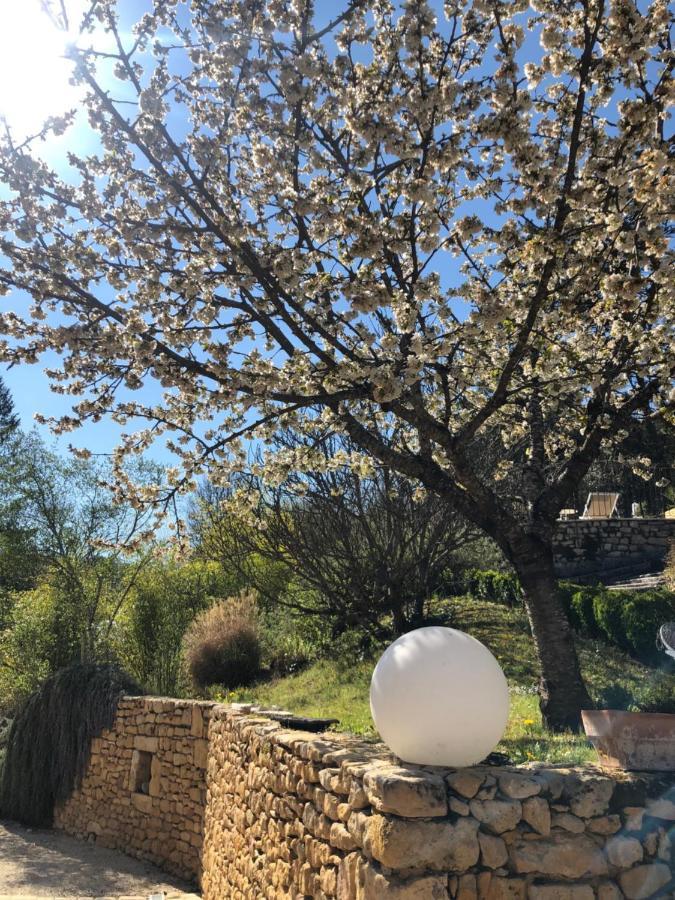 La Tour De Cause Bed & Breakfast Castelnaud La Chapelle Exterior photo