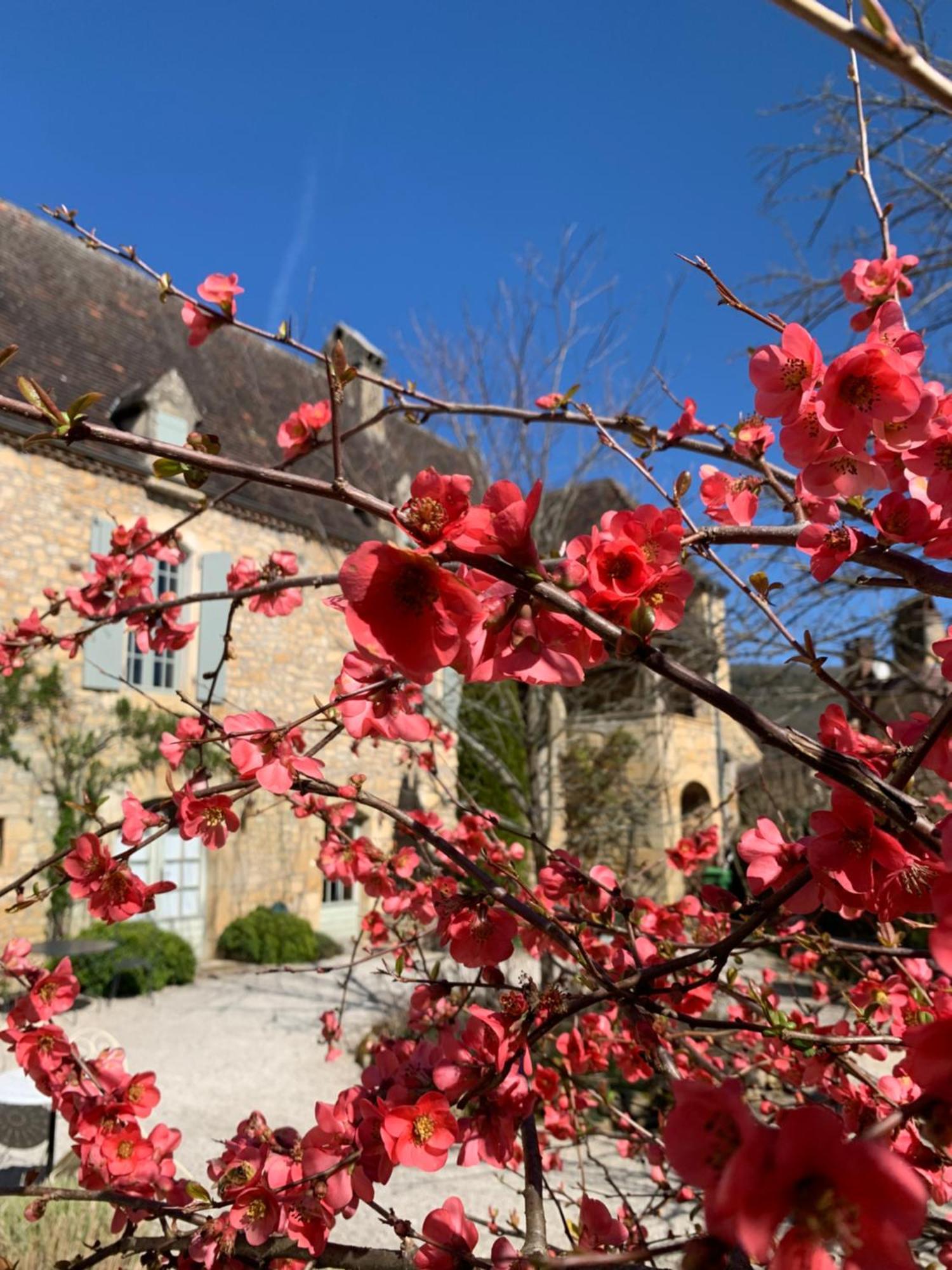 La Tour De Cause Bed & Breakfast Castelnaud La Chapelle Exterior photo