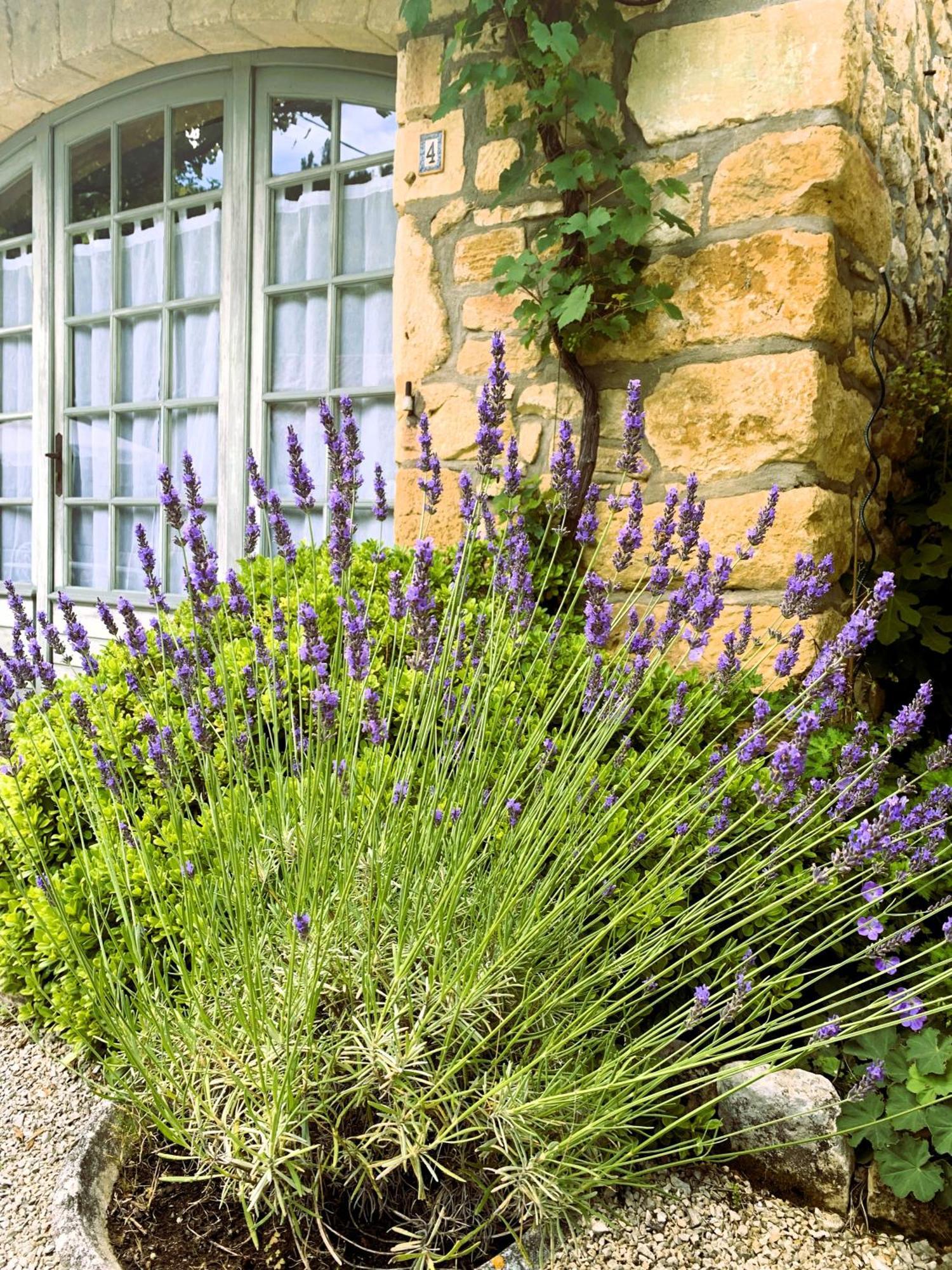 La Tour De Cause Bed & Breakfast Castelnaud La Chapelle Exterior photo