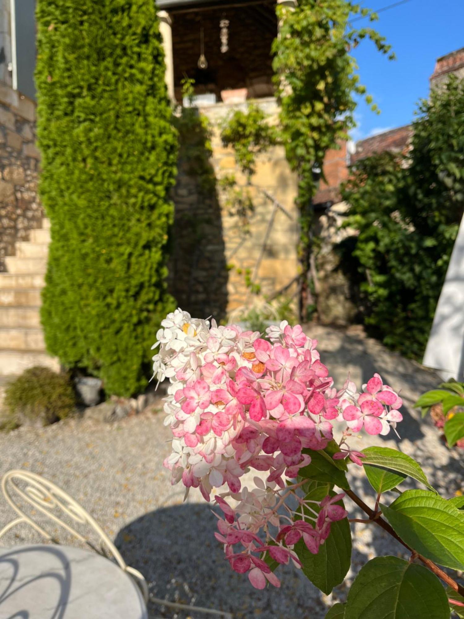 La Tour De Cause Bed & Breakfast Castelnaud La Chapelle Exterior photo