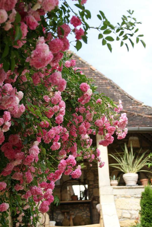 La Tour De Cause Bed & Breakfast Castelnaud La Chapelle Exterior photo